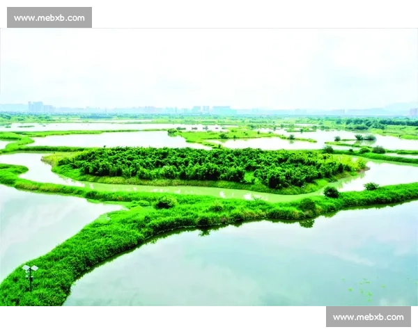 构建高质量体育赛事保障体系促进城市综合发展与公共安全协同提升行动